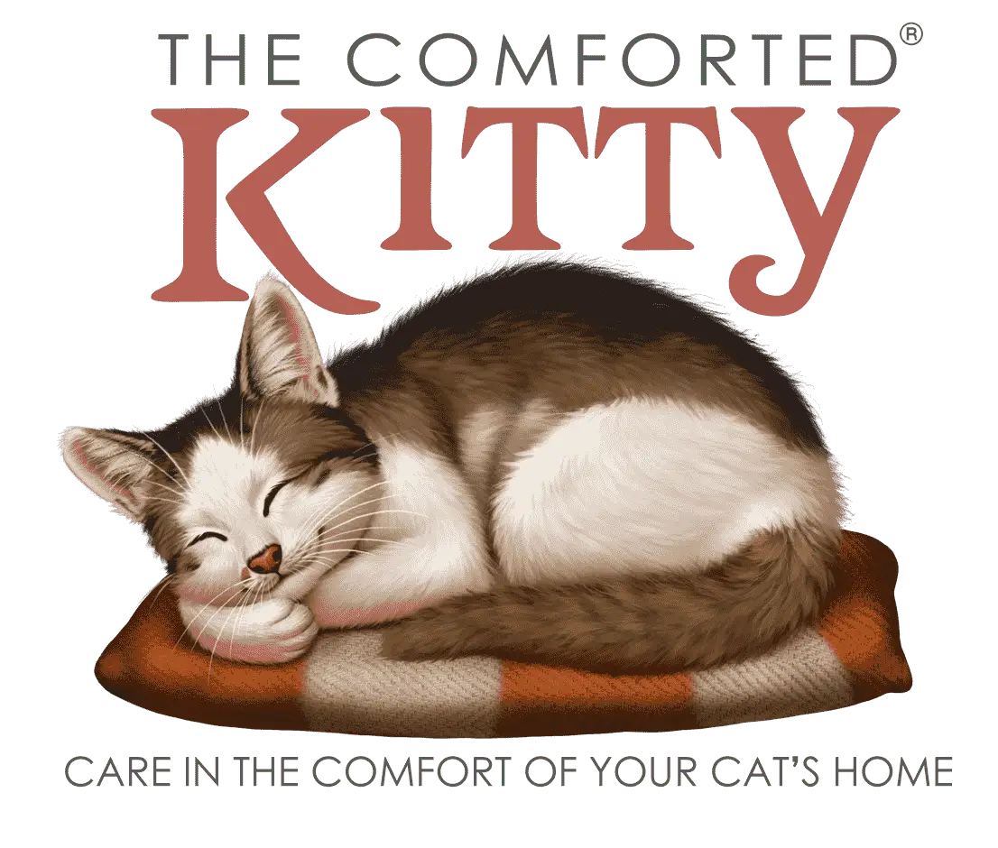 The Best Pet Stores for Cats in Phoenix AZ The Comforted Kitty