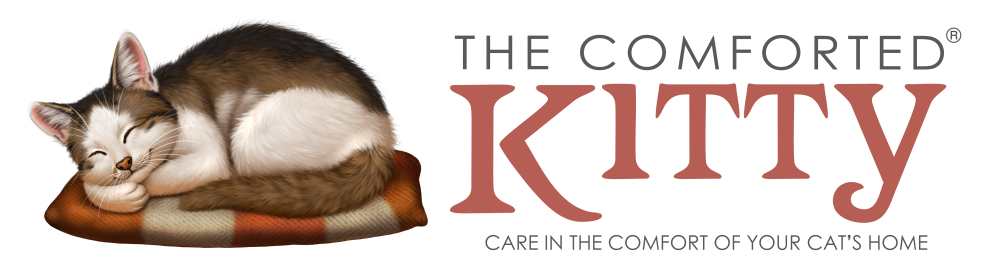 The Comforted Kitty