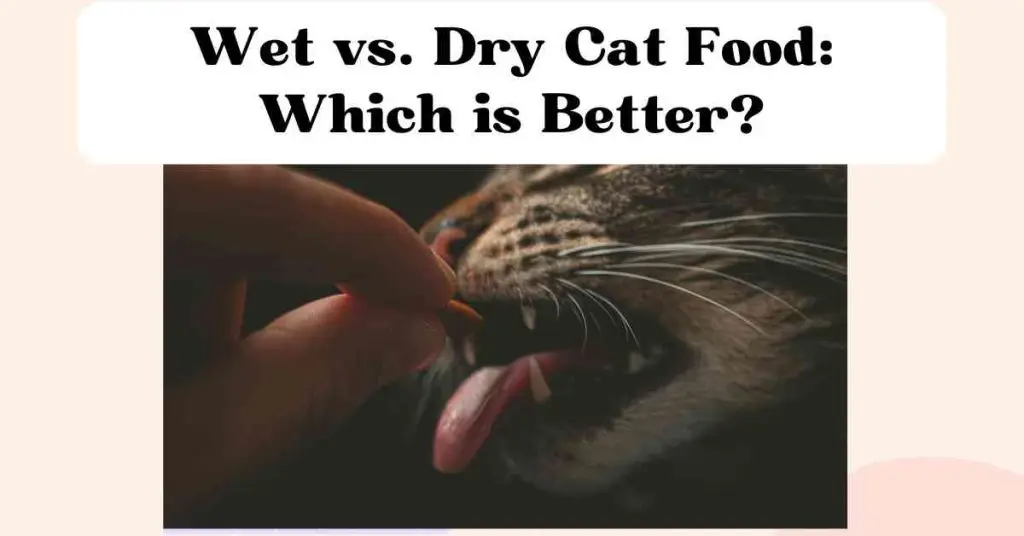 Best dry cat food for diarrhea best sale