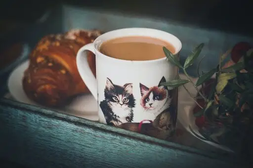 cat cafes near las vegas