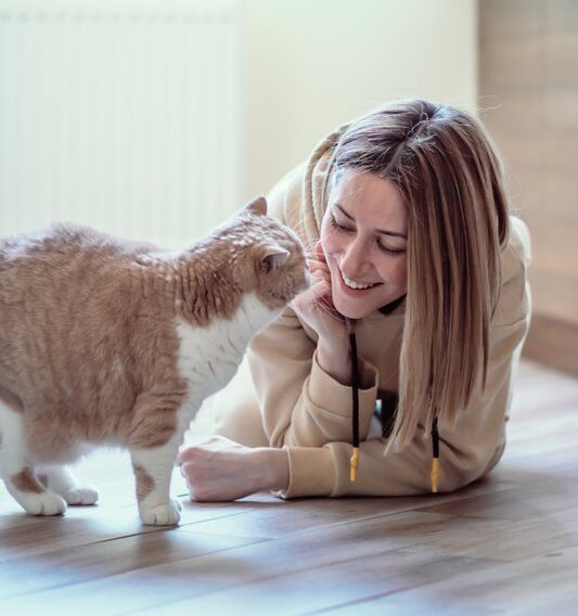 shy cat sniffing a cat sitter - the comforted kitty