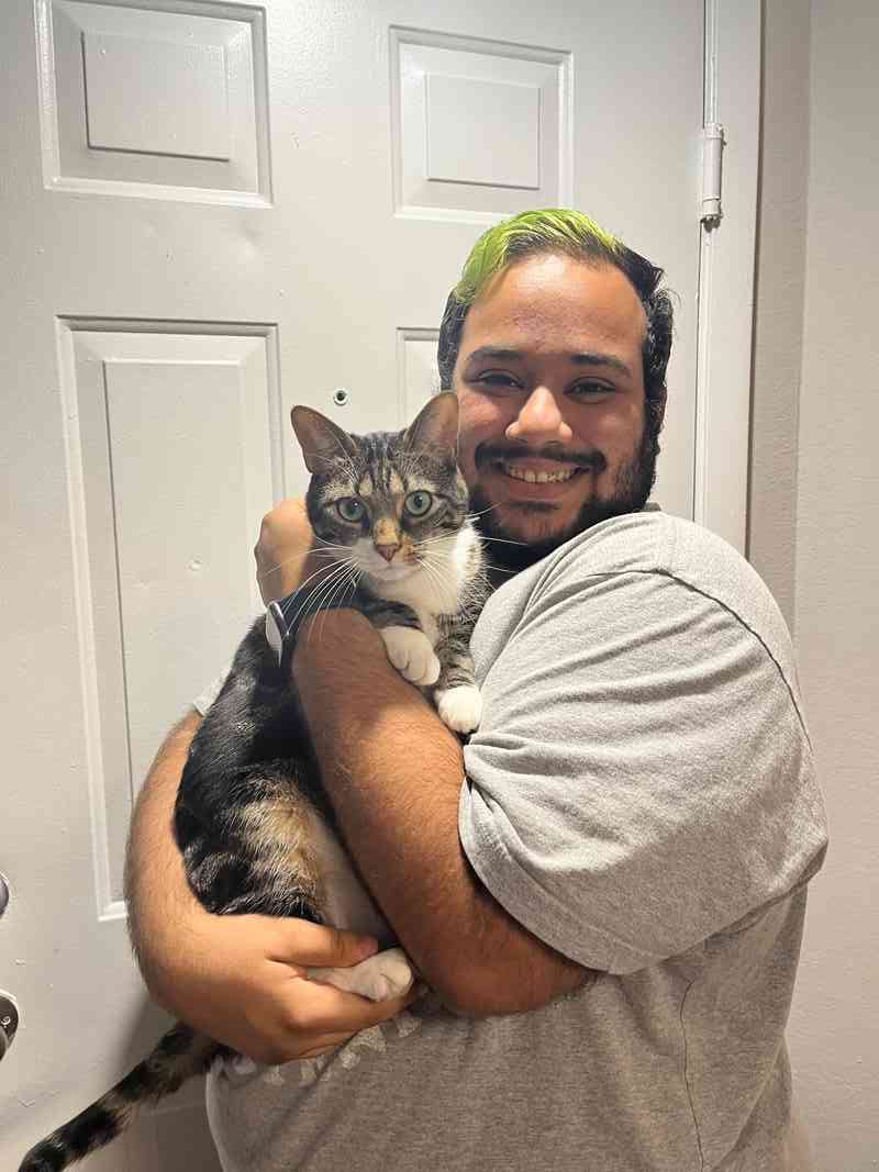 Rowan R winter park FL cat dog sitter