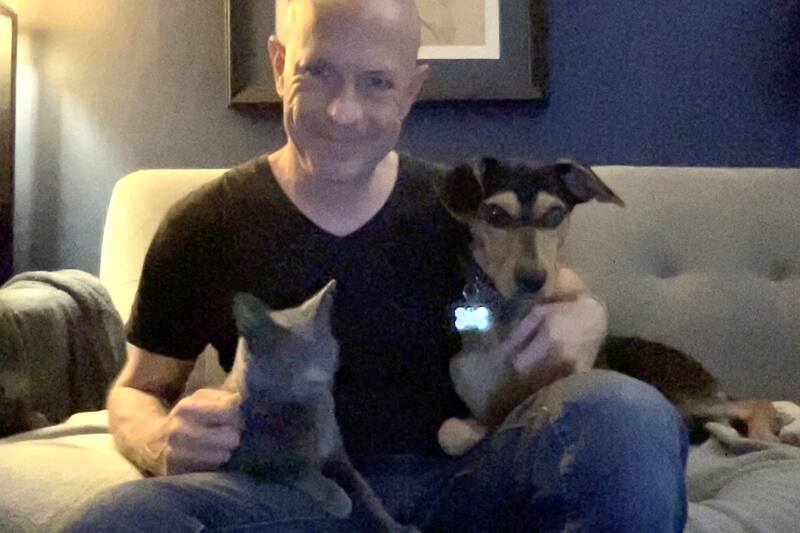 Dan G San Diego CA cat dog sitter