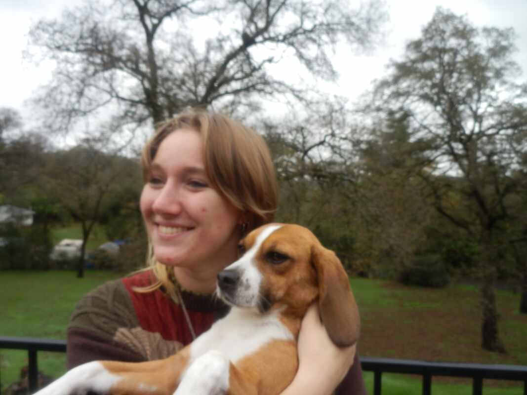 Reiss V Rocklin ca dog cat sitter